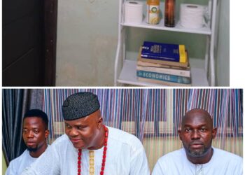 Education Beyond Boundaries: Inside Barrister Femi Aina’s Restroom Library