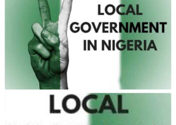 Local Government Crisis: When Lazy Youths Turn Politics into a Wealth Scheme