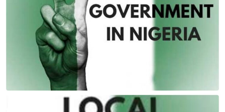 Local Government Crisis: When Lazy Youths Turn Politics into a Wealth Scheme