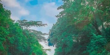 Travel Smart: Essential Tips for Navigating Nigeria’s Insecure Regions Safely