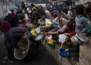 Charities Unite to Battle Starvation; Restore Hope in Gaza