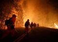 California Wildfires Claim 24 Lives as Governor Newsom Proposes Rebuilding Plan
