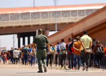 Trump Administration Plans Mass Immigrant Arrests Next Week, Incoming Official Reveals