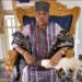 From Crown to Chains: Is Oba Ogunjobi Now the King of Ilaro Correctional Palace?