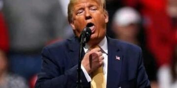 Court Slaps Down Trump’s Attempt to Fire Ethics Watchdog