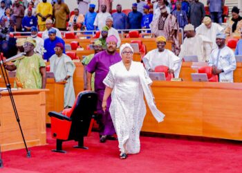 Lagos Lawmakers Extol President Tinubu’s Virtues