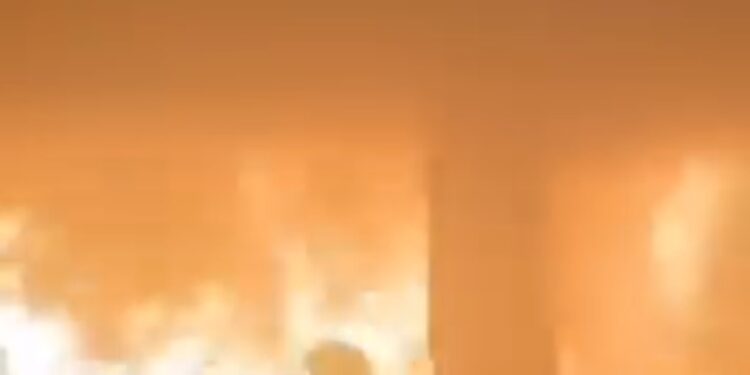 Horror in Gaza: Dozens Burned Alive as Israeli Airstrikes Hit Al-Jarjawi School (Photo+Video)