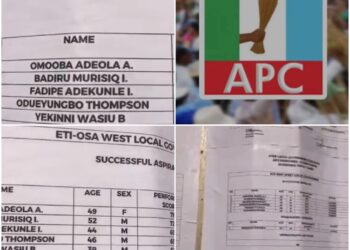 Lagos APC Clears 432 Chairmanship Aspirants for Local Government Elections