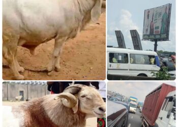 Ram Prices Soar, Travel Chaos Hits Eid Celebrations