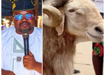 Sacrifice Alone Won’t Save Nigeria, Good Governance Will — Ajadi