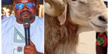 Sacrifice Alone Won’t Save Nigeria, Good Governance Will — Ajadi