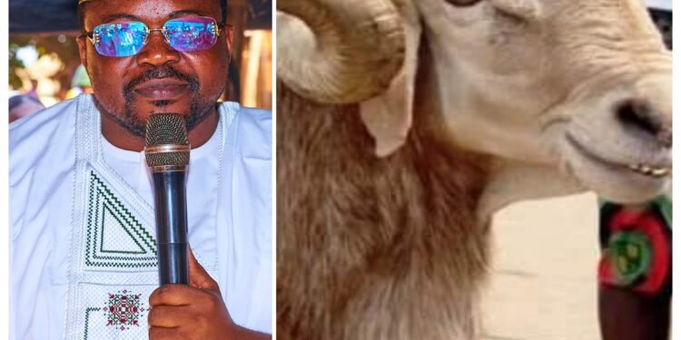 Sacrifice Alone Won’t Save Nigeria, Good Governance Will — Ajadi