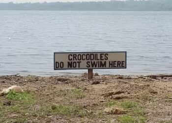 Meet the World’s Deadliest Assassin: Bad Grammar