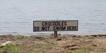 Meet the World’s Deadliest Assassin: Bad Grammar