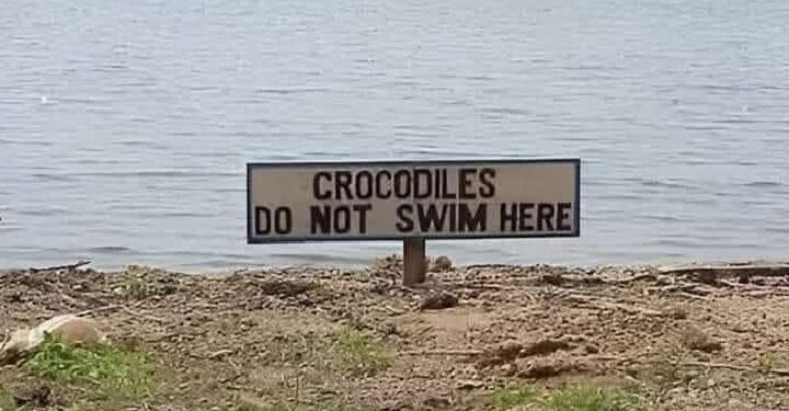 Meet the World’s Deadliest Assassin: Bad Grammar