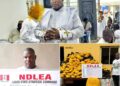 Pastor Busted: NDLEA Nabs Lagos Cleric in ₦1.35bn ‘Ghana Loud’ Smuggling Ring