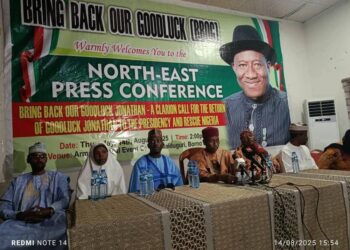 Goodluck Jonathan 2027 Elections: Can He Make a Comeback?