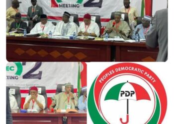 PDP Zones 2027 Presidential Ticket to South, Retains Chairmanship in North