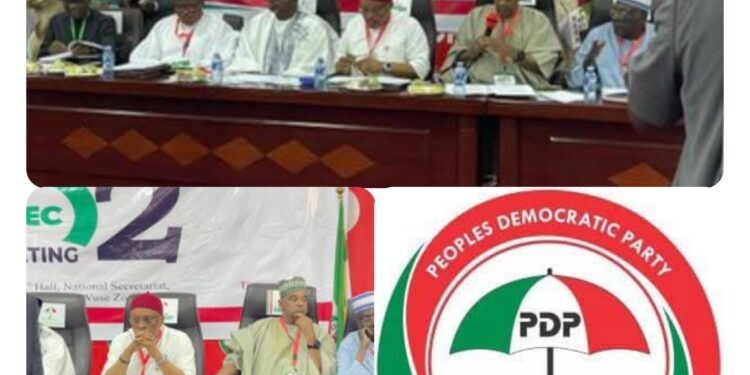 PDP Zones 2027 Presidential Ticket to South, Retains Chairmanship in North