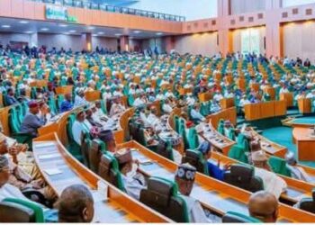 Perpetual Legislators and the Moral Question in Nigerian Politics