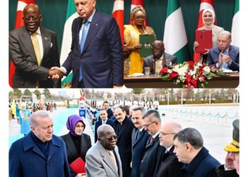 Tinubu, Erdogan Push Nigeria-Türkiye Trade to $5bn