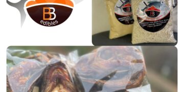 BB Edibles Redefines Healthy Food Processing with Premium Nigerian Proteins, Nutrient-Rich Products