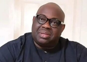 Momodu Reveals ADC Strategy to Defeat Tinubu