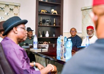 Peter Obi Meets Jonathan, Sparks 2027 Speculation