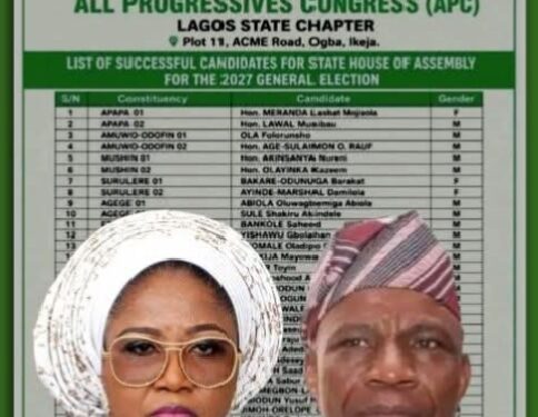Tinubu’s Daughter Threatens Mass Protest Over Lagos APC Primaries