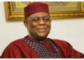 Fani-Kayode Rejects Germany, Gets South Africa Posting