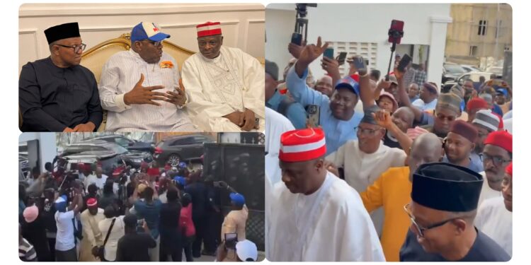 Obi, Kwankwaso Join NDC Ahead of 2027