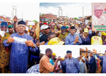 APC Ogun Primary Ends Peacefully, Adeola Emerges Candidate