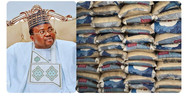 APM Senatorial Candidate Ajadi Distributes Over 500 Bags of Rice