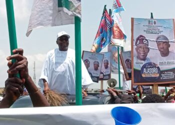 Stop Defecting, Await Final APC Decision—Adelabu