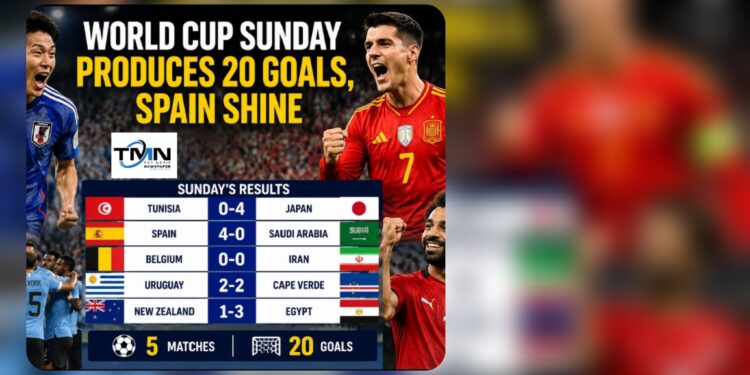 World Cup Sunday Produces 20 Goals, Spain Shine