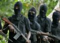 30 Killed in Fresh Kaduna Village Attack