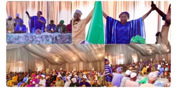 Iyabo Obasanjo-Bello Gains Massive APC, ADC Defections