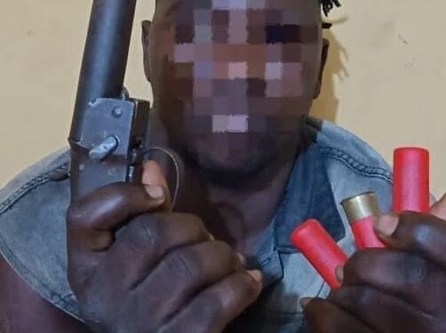 Ogun Police Arrest Suspected Cultist, Recover Two Pistols