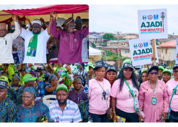 Ajadi Urges APM Members, Decampees to Unite Ahead of Elections